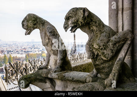 Nahaufnahme auf zwei steinerne Statuen von Chimären auf die Türme der Kathedrale Notre-Dame de Paris mit Blick auf die Stadt verschwinden im Nebel im Th Stockfoto