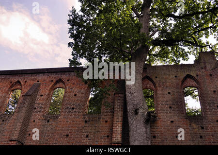 Gotische Klosterruine in boitzenburg, Mecklenburg Vorpommern Stockfoto