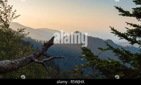 Dramatische Aussicht von dem dunstigen Smoky Mountains zwischen Bäumen aus dem Appalachian Trail im Great Smoky Mountains National Park Stockfoto