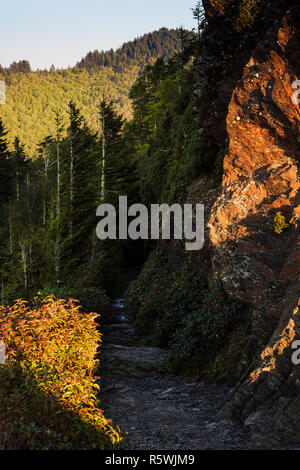 Dramatische Aussicht von der Appalachian Trail im Great Smoky Mountains National Park Stockfoto