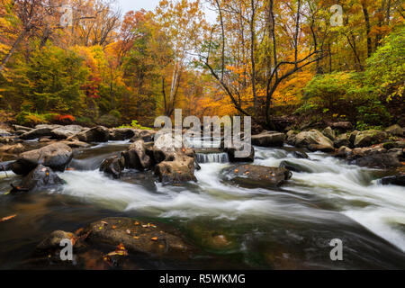 Rauschende Wasser durch Rock Creek Park im Herzen von Washington, DC, während der Herbst Laub Farbe Stockfoto