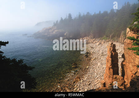 Misty sunrise entlang der Küstenlinie bei Denkmal Cove in Acadia National Park, Maine Stockfoto