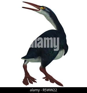 Hesperornis Profil auf weiß Stockfoto