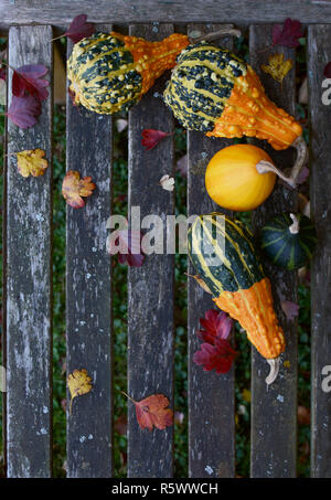 Dekorative Kürbisse mit Herbstlaub auf einem urigen Bank Stockfoto