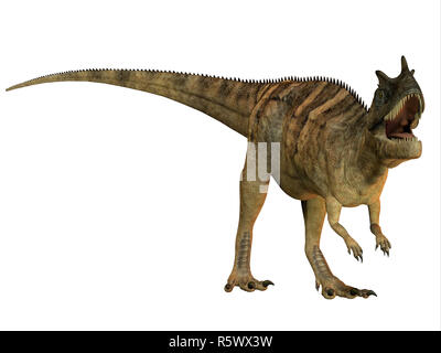 Ceratosaurus auf Weiß Stockfoto