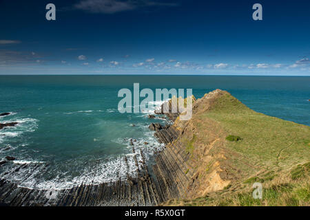 Schöne und robuste North Devon Küstenlinie bei Hartland Quay entlang des South West Coast Path Stockfoto