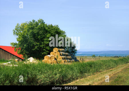 Ländliche Idylle. Bauernhof mit grünen Bäumen, Heuballen und roten Dach der Scheune mit Felder und die Berge dahinter. Ungarische Sommer. Landschaft. Stockfoto