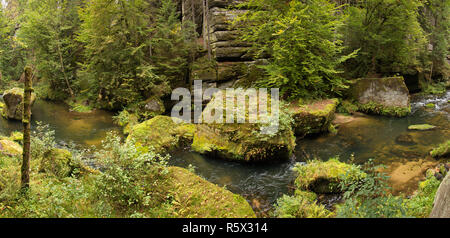 Schlucht des Flusses Kamenice in der Böhmischen Schweiz in der Tschechischen Republik Stockfoto