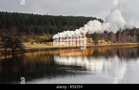 46512 Köpfe entlang der Strathspey Railway an Croftnahaven auf dem Ansatz der Broomhill, den Fluss Spey im Vordergrund. Stockfoto