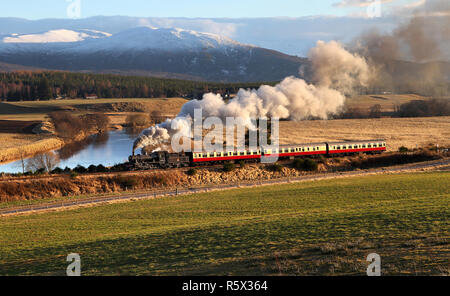 46512 Köpfe entlang der Strathspey Railway von Fishermans Kreuzung mit dem Cairngorm Berge dahinter. Stockfoto