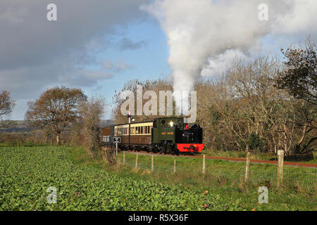 Nr. 8 Köpfe entlang dem Tal Rheidol an Capel Bangor. Stockfoto