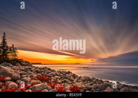 Boulder Beach in Acadia Nationalpark Stockfoto