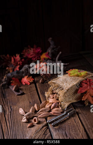 Canarium ovatum, allgemein bekannt als Pili ist eine Pflanzenart aus der Gattung der tropischen Baum Stockfoto