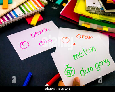 Lernen neue Sprache, Original Flash Cards Vietnamesisch Stockfoto