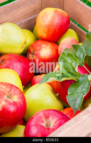 Frische Äpfel in Holzkiste Stockfoto