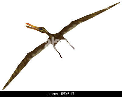 Anhanguera Flug auf weiß Stockfoto