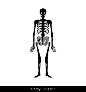 Skelett silhouette alten Monster fantasy Stockfoto