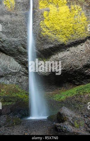 Latourell Falls, 224 Fuß in der Höhe, Multnomah Co., Oktober, Oregon, USA, von Dominique Braud/Dembinsky Foto Assoc Stockfoto