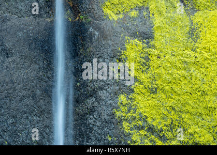 Latourell Falls, 224 Fuß in der Höhe, Multnomah Co., Oktober, Oregon, USA, von Dominique Braud/Dembinsky Foto Assoc Stockfoto