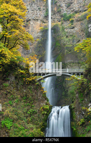 Multnomah Falls, 630 Fuß in der Höhe, Herbst, Multnomah County, USA, von Dominique Braud/Dembinsky Foto Assoc Stockfoto