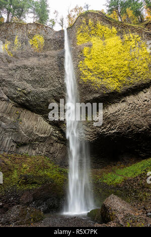 Multnomah Falls, 630 Fuß in der Höhe, Herbst, Multnomah County, USA, von Dominique Braud/Dembinsky Foto Assoc Stockfoto