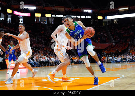 Dezember 2, 2018: Elijah Schmidt #14 der Texas A&M-CC Inselbewohner Drives zum Korb gegen John fulkerson #10 der Tennessee Freiwilliger während der NCAA Basketball Spiel zwischen der Universität von Tennessee Volunteers und der Texas A&M-CC Inselbewohner bei Thompson Boling Arena in Knoxville TN Tim Gangloff/CSM Stockfoto