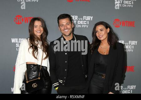 Los Angeles, CA, USA. 1. Dez, 2018. Natalya Wright, Mark Wright, Jessica Wright in der Ankunftshalle für VIP-Party roten Teppich für den WM-Kampf im Schwergewicht Wilder gegen Wut, Staples Center, Los Angeles, CA 1. Dezember 2018. Credit: Priscilla Grant/Everett Collection/Alamy leben Nachrichten Stockfoto