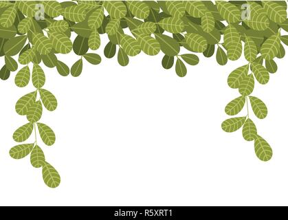 Hängenden Kletterpflanzen mit grünen Blättern. Flachen Blättern nach unten hängen. Floralen Muster. Vector Illustration auf weißem Hintergrund. Stock Vektor