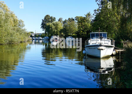 Boote und Yachten vor Anker auf der Themse in Hurley, Berkshire, England Vereinigtes Königreich Großbritannien Stockfoto