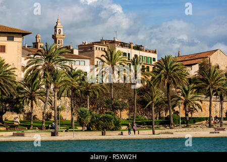 Blick auf die La Calatrava Viertel mit Palmen im Parc de la Mar, Palma de Mallorca, Mallorca, Mallorca, Balearen, Balearen, Spanien, Europa Stockfoto