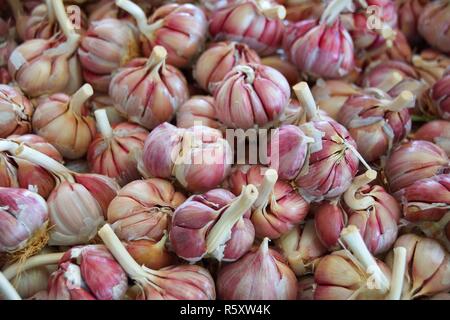 Zwiebeln Knoblauch für Verkauf in einem Souk in Marokko Stockfoto