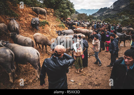 Szenen aus dem Can CAU Markt im Norden von Vietnam Stockfoto