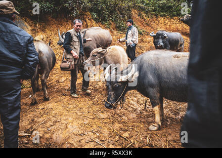 Szenen aus dem Can CAU Markt im Norden von Vietnam Stockfoto