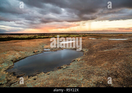 Kleine Pools von Wasser auf der Oberseite des Hyden Rock (oben Wave Rock) mit Regen über das umliegende Ackerland. Stockfoto