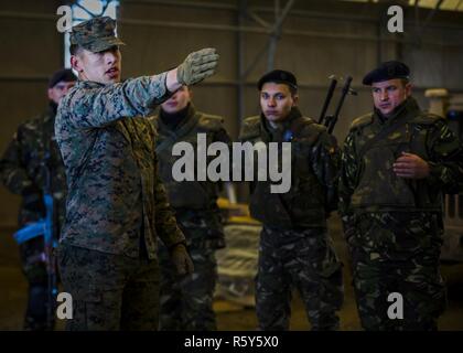 Us Marine Cpl. Eduardo Duran-Espino, ein rifleman mit Marine Drehkraft Europa 17.1, gibt eine Hand- und Arm-signal Klasse mit rumänischen Soldaten am Babadag, Rumänien, 24. April 2017. Marines mit rumänischen Soldaten und anderen Verbündeten während der Übung Platin ausgebildet Eagle 17,2 zur Verbesserung der Interoperabilität. Partnerschaften von multilateralen Übungen wie diese gebildet sind entscheidend im Umgang mit regionalen Fragen und Wahrung des Friedens in der Region Osteuropa. Stockfoto