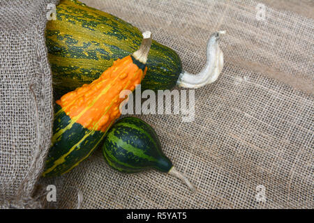 Gestreift orange und grüne Kürbisse in verschiedenen Formen Stockfoto