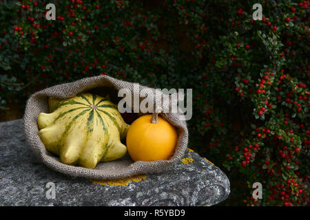 Sack mit Dornenkrone und orange Kürbisse auf der Werkbank Stockfoto