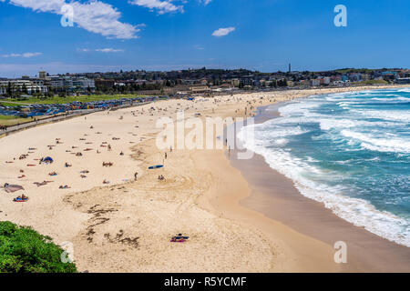 Bondi Beach an einem sonnigen Sommer in Sydney, Australien. Stockfoto