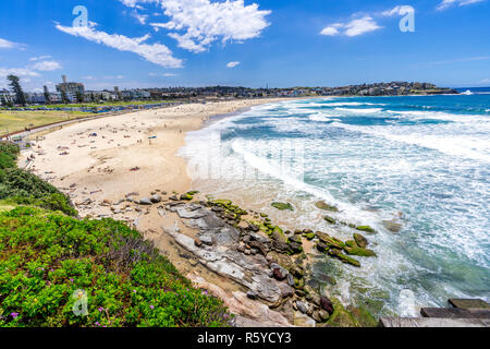 Bondi Beach an einem sonnigen Sommer in Sydney, Australien. Stockfoto