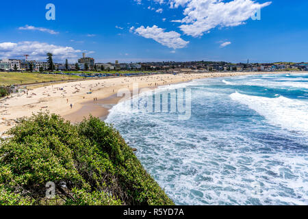 Bondi Beach an einem sonnigen Sommer in Sydney, Australien. Stockfoto