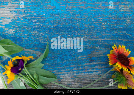 Blumen am Rand einer aus Holz, blau lackiert Board mit Rissen Stockfoto