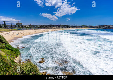 Bondi Beach an einem sonnigen Sommer in Sydney, Australien. Stockfoto
