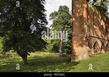 Gotische Klosterruine in boitzenburg, Mecklenburg Vorpommern Stockfoto