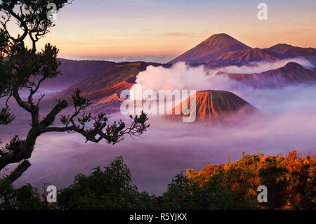 Mount Bromo Indonesien Stockfoto