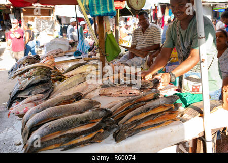 Latino Mann ausnehmen frischen Fisch zum Verkauf auf Bazurto Markt (Mercado Bazurto). Umwelt portrait. Cartagena de Indias, Kolumbien. Okt 2018 Stockfoto