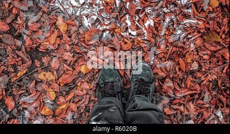 Blick von oben auf die Verfolgung Schuhe mit gelben und roten Laub im Herbst Park, fallen Szene. Kopieren Sie Platz Stockfoto