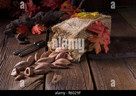 Canarium ovatum, allgemein bekannt als Pili ist eine Pflanzenart aus der Gattung der tropischen Baum Stockfoto