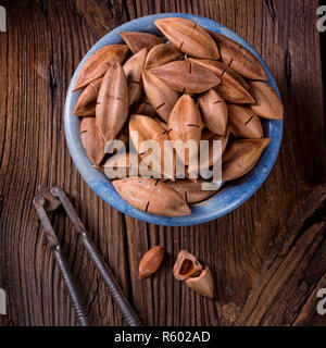 Canarium ovatum, allgemein bekannt als Pili ist eine Pflanzenart aus der Gattung der tropischen Baum Stockfoto