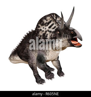3D-Rendering Dinosaurier Zuniceratops auf Weiß Stockfoto