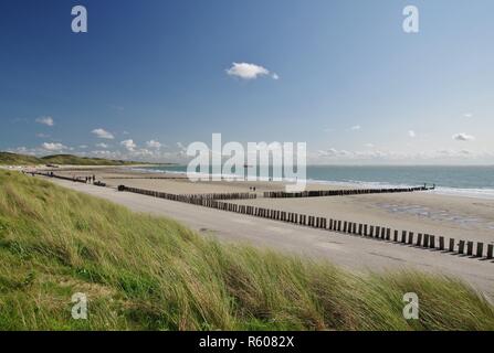 Deich, Dünen, Strand und Nordsee mit buhnen in Zoutelande, walcheren, Zeeland, Niederlande Stockfoto